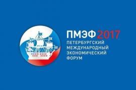 Владимир Булавин и Руслан Давыдов приняли участие в Петербургском международном экономическом форуме